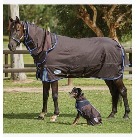 Weatherbeeta overgangsdeken 100 gram Comfitec Ultra Cozi II Detach-a-neck medium/lite