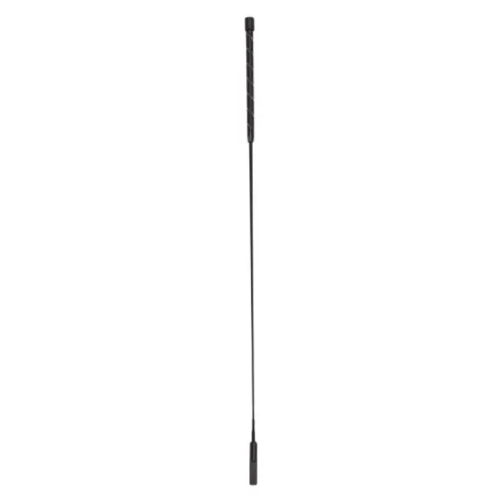 Dressage whip IRH-Regal Shine